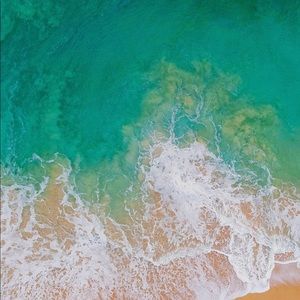 Meet your Posher, Selah